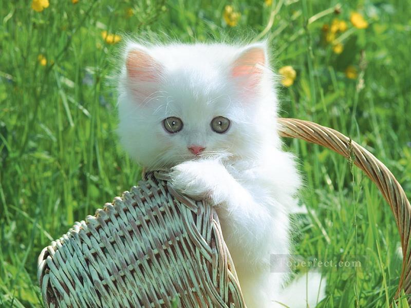 かわいい子猫の芝生の絵を写真からアートに油絵